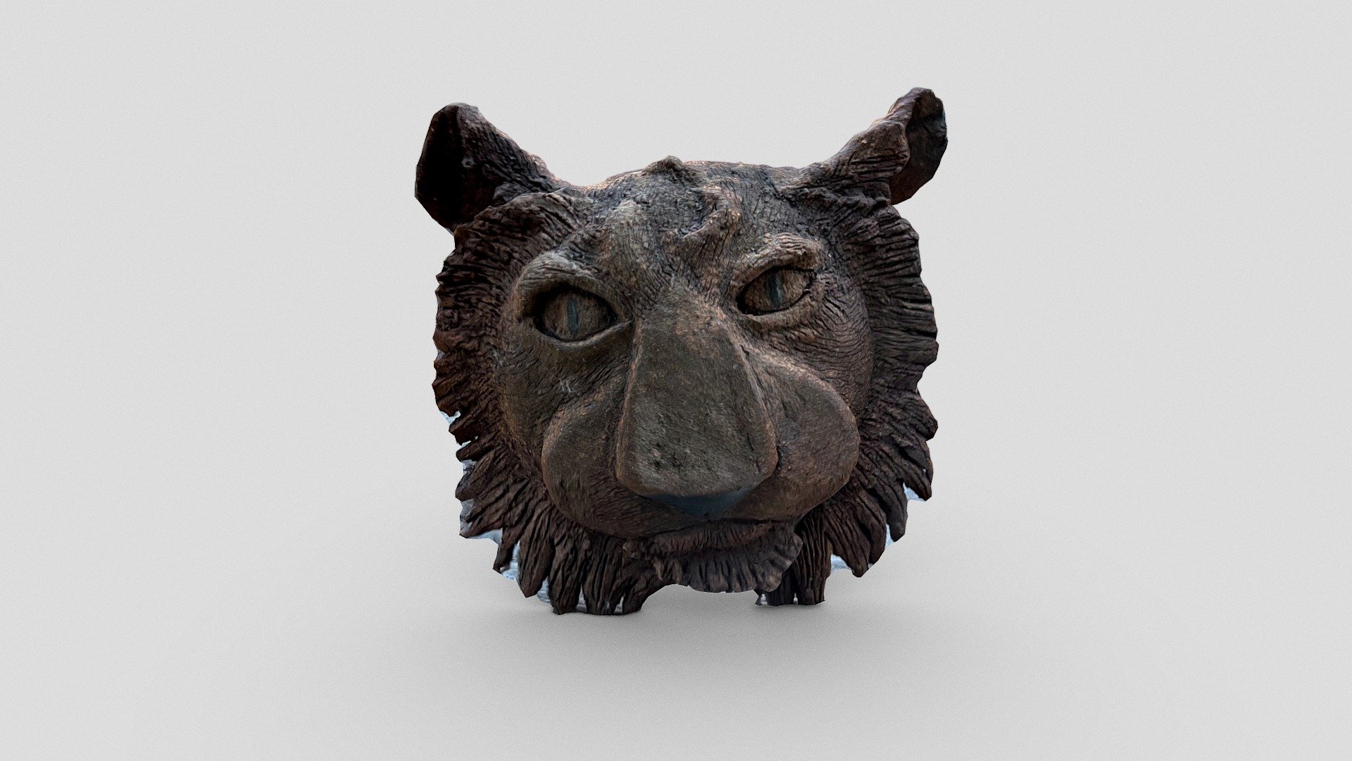Lion head