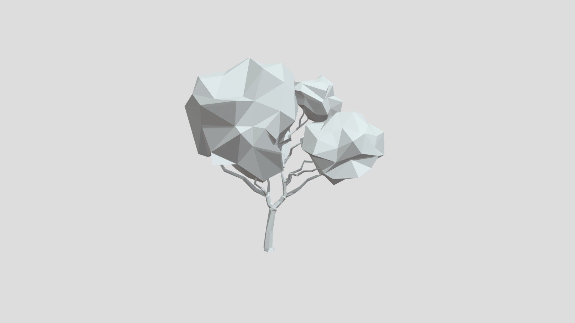 Bloodwood tree from Poly by Google