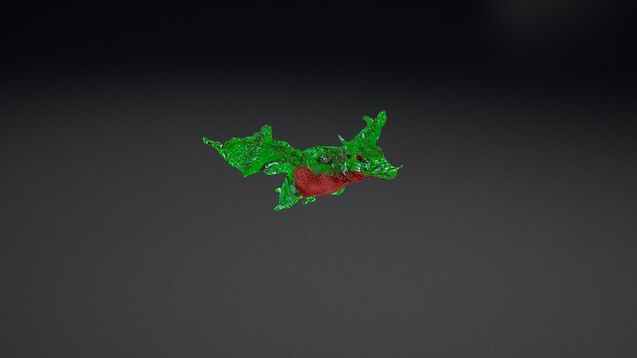 Dragon 3D Model