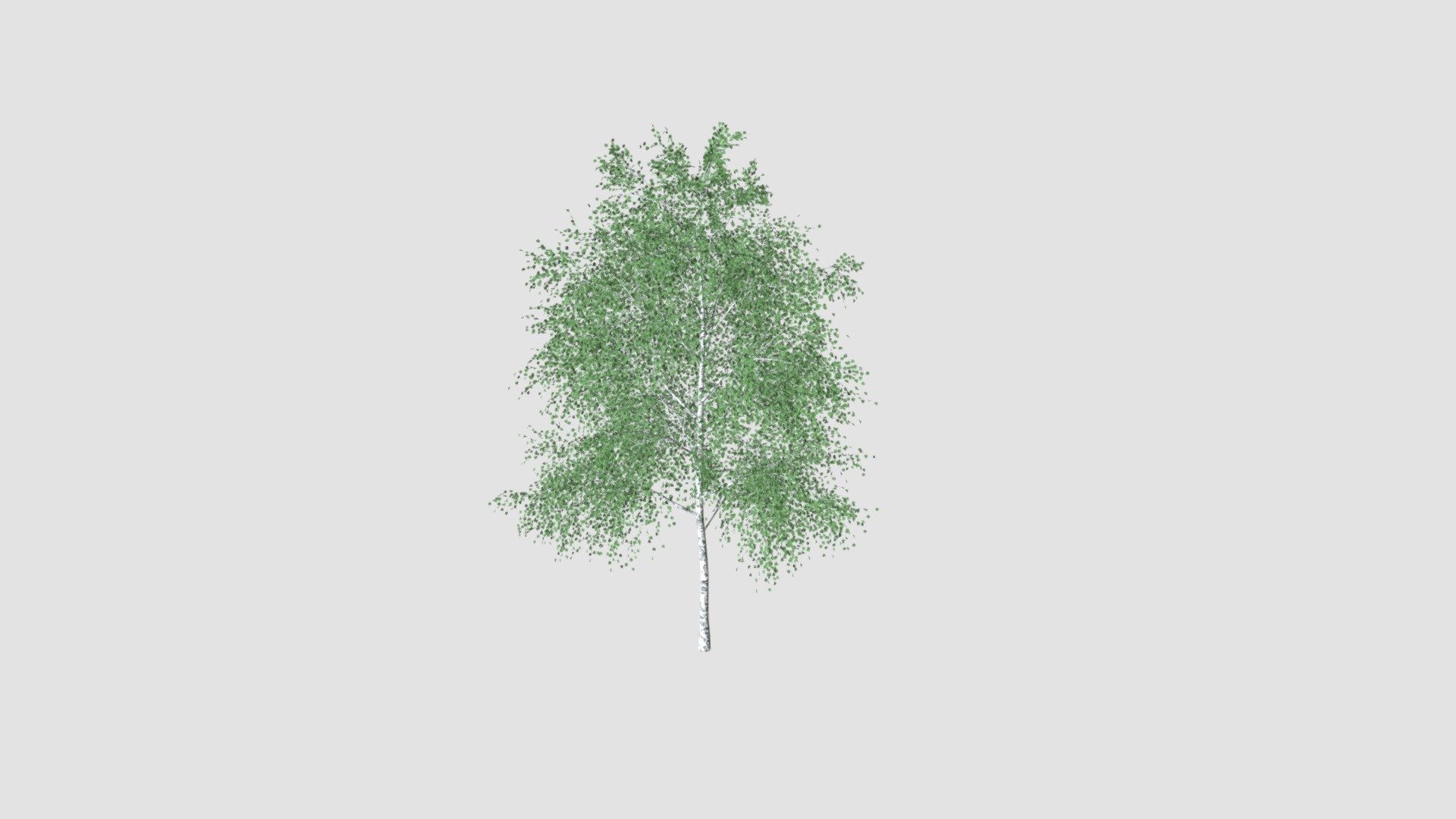 tree - Buy Royalty Free 3D model by Evermotion [dfbab90] - Sketchfab Store