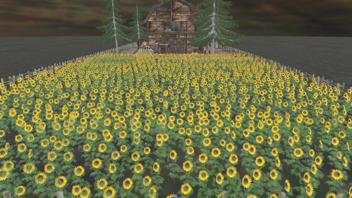 Sunflowers Field