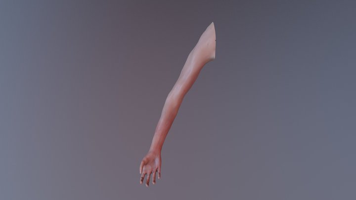 WOUNDED ARM 3D Model