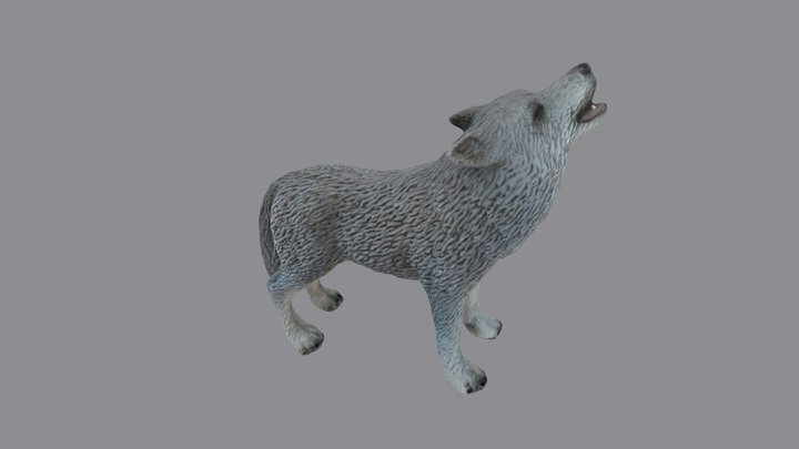 Howling Grey Wolf 3D Model