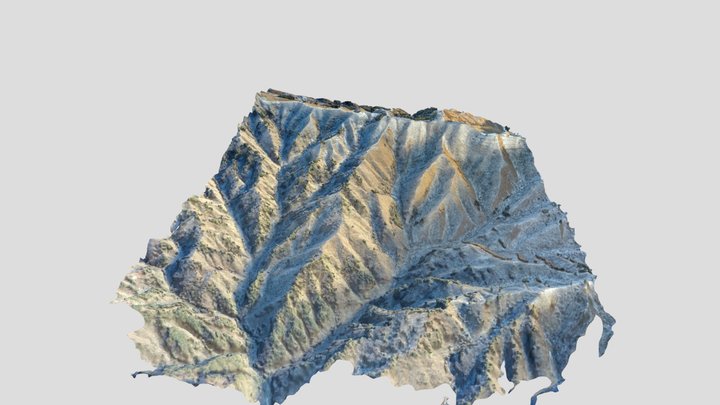 초안 3D Model
