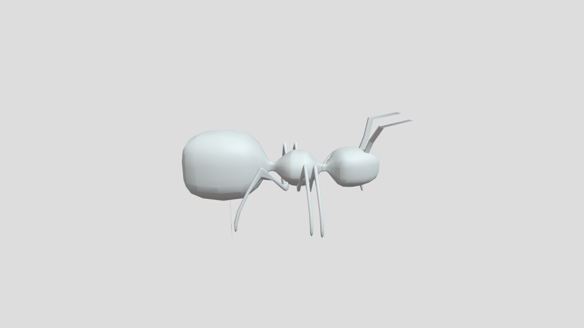 Ant