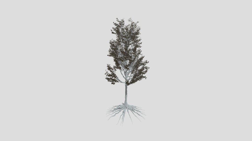 Tree 02