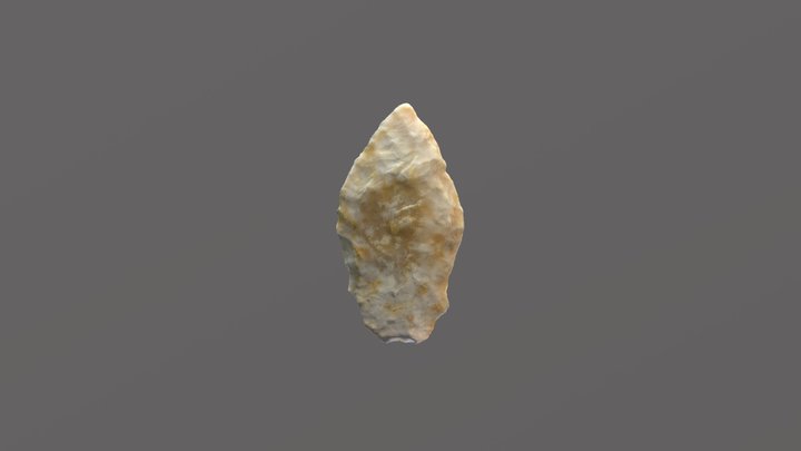 Punta de flecha. IV Campaña de Prospecciones 3D Model