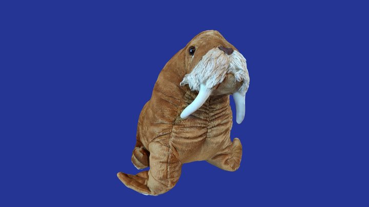 Walrus Plushie 3D Model