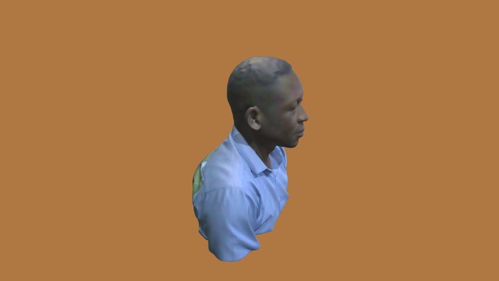 BODE  PLY OK 3D Model