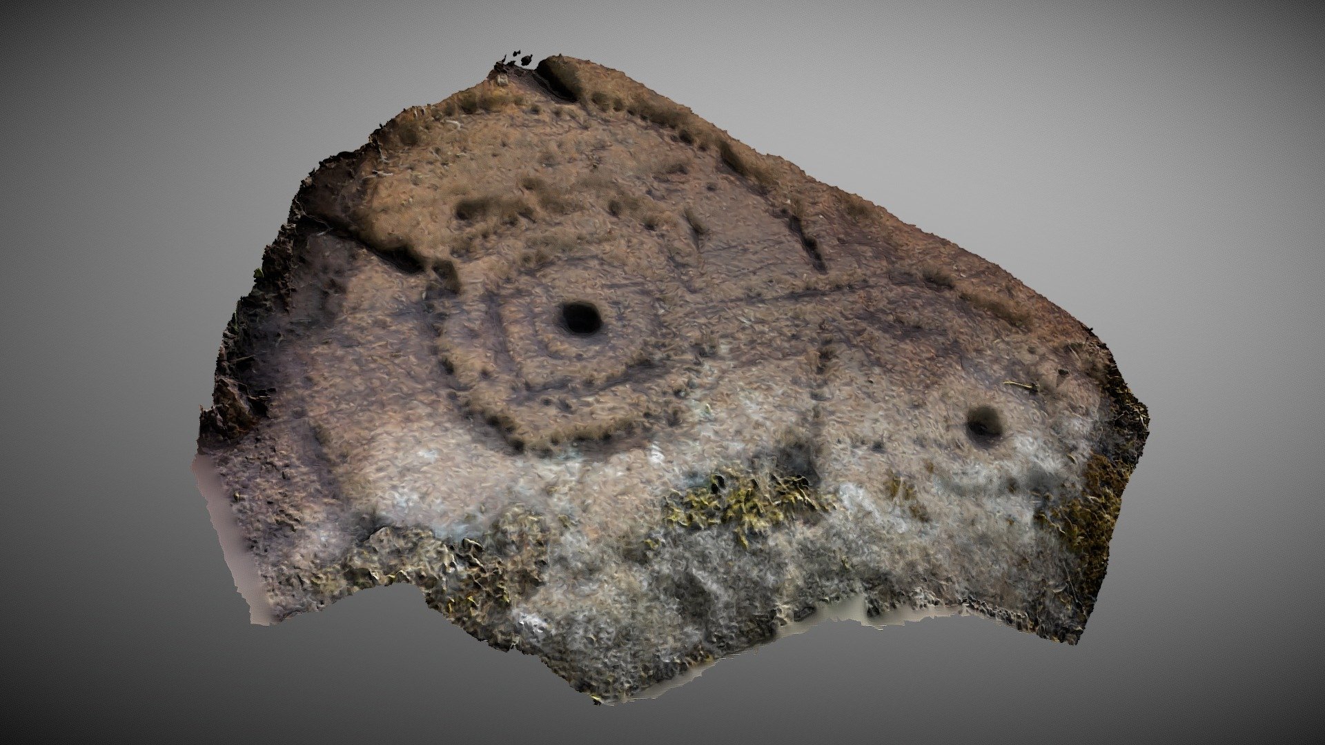 Nether Glenny 1 - Cup & Ring Marked Rock