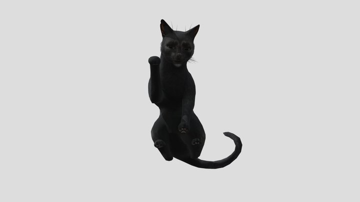 Animated cat 3D Model