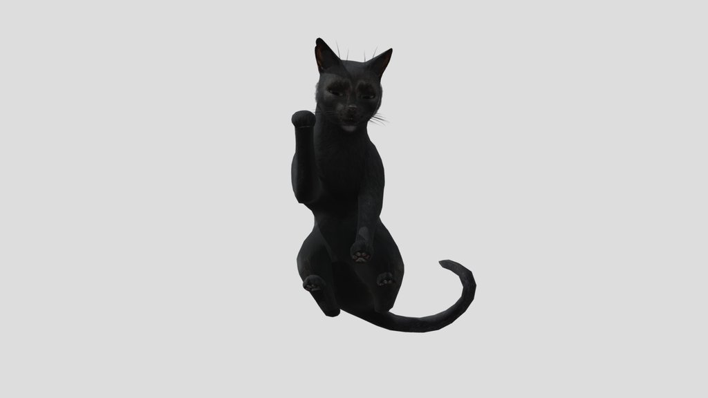 Animated cat