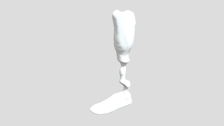 Prosthetic Leg - 01 3D Model