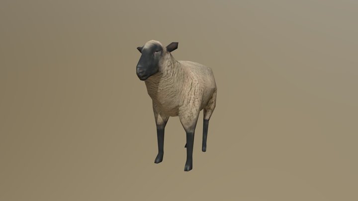 Sheep anim