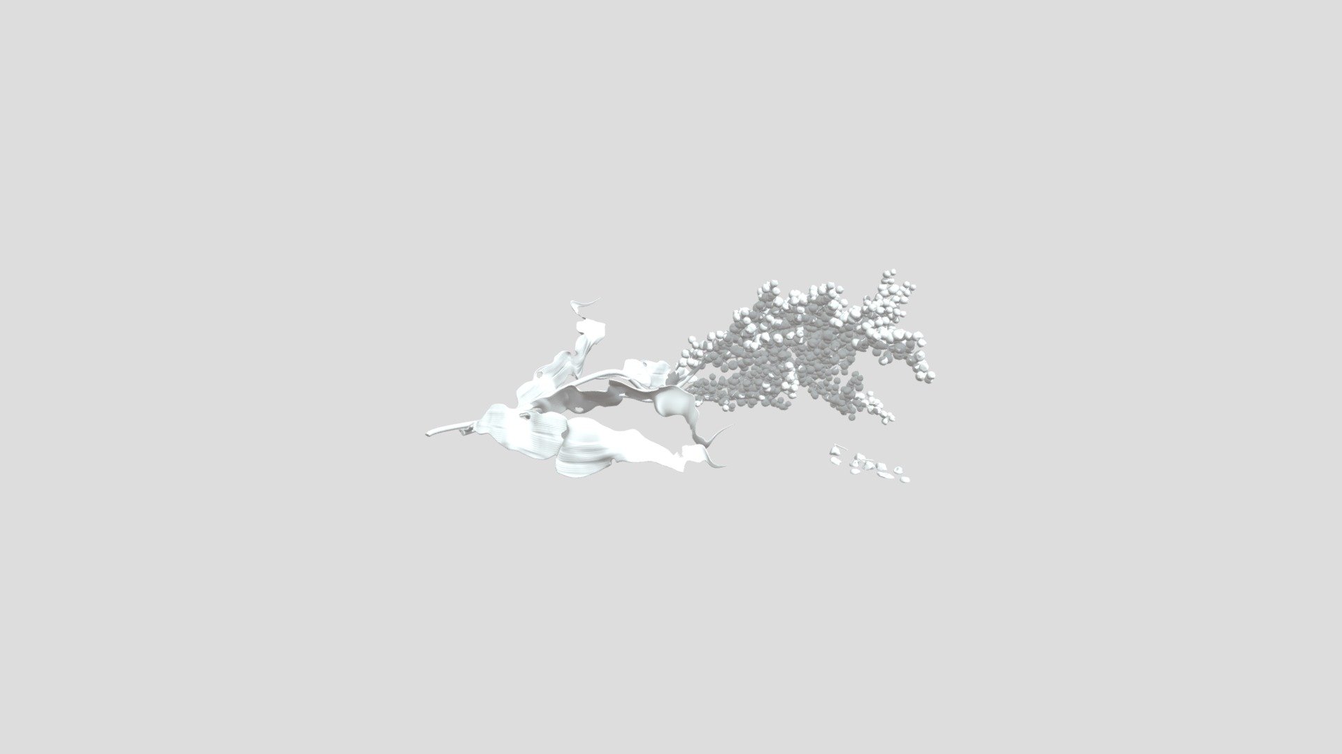 Laid-back sorghum — Sketchfab embed 3D viewer