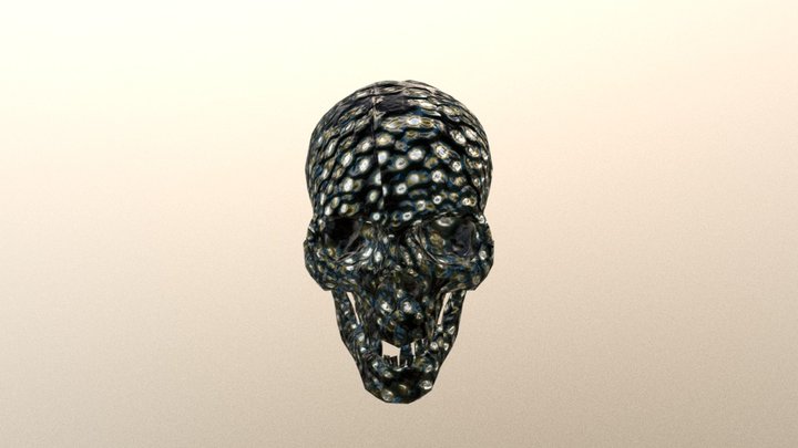 Weird Skull 3D Model