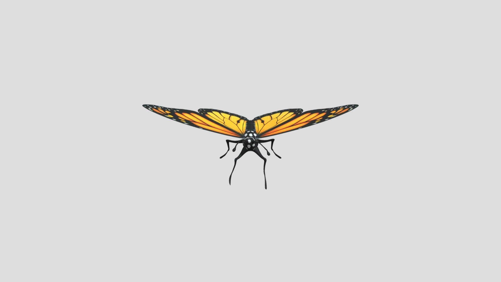 Mariposa