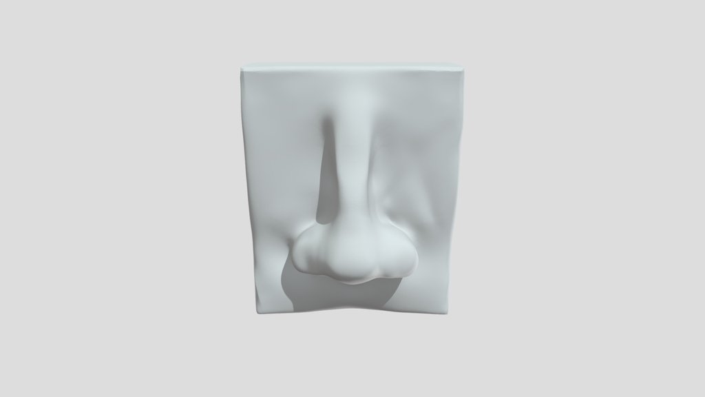 Nose Exercises