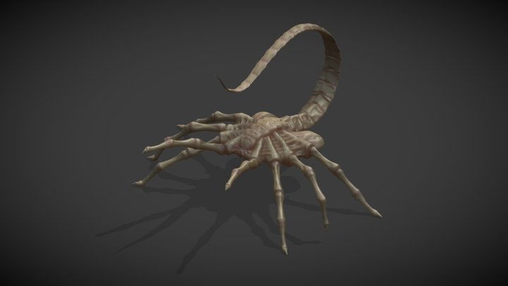 Facehugger 3D Model