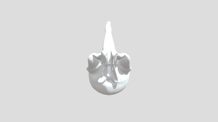 My model 3D Model