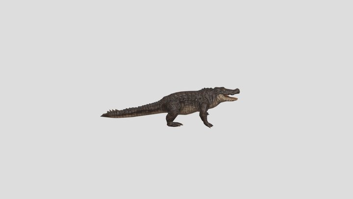 Granny 3 Aligator 3D Model