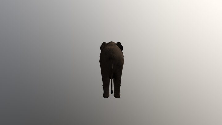 elefante 3D Model