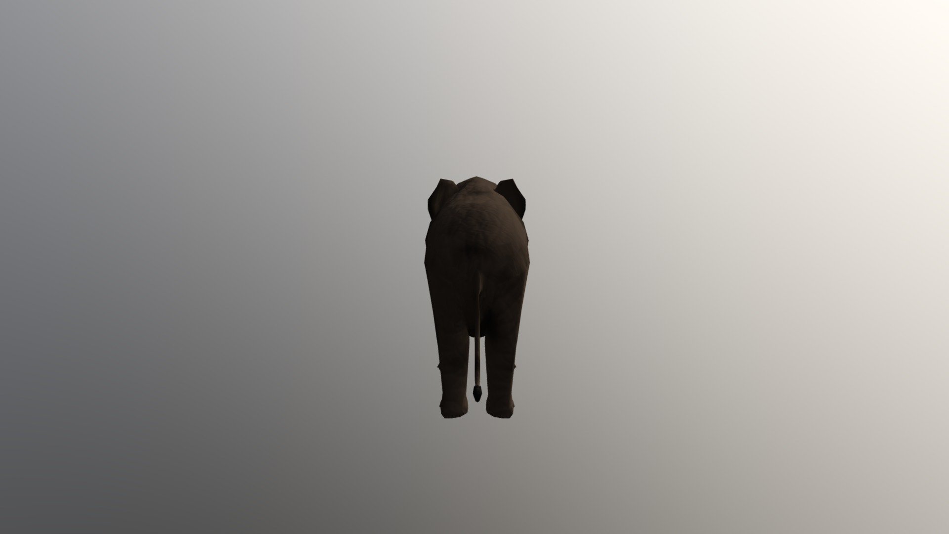 elefante