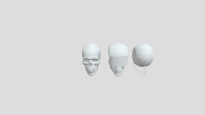 头骨体块 3D Model