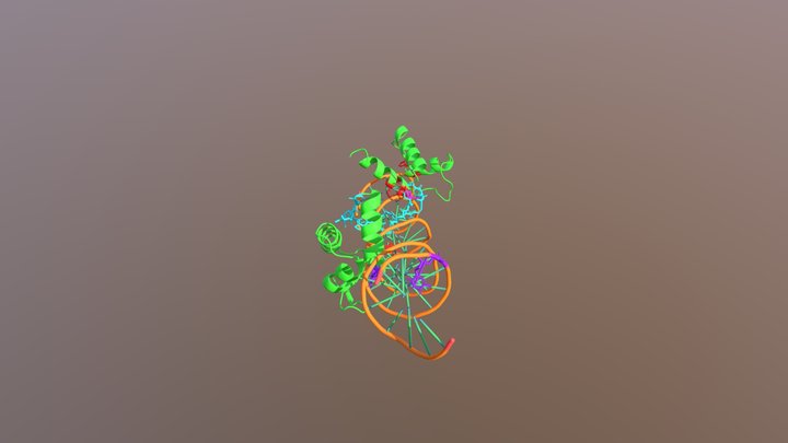 Human Pax6 paired domain-DNA complex 3D Model
