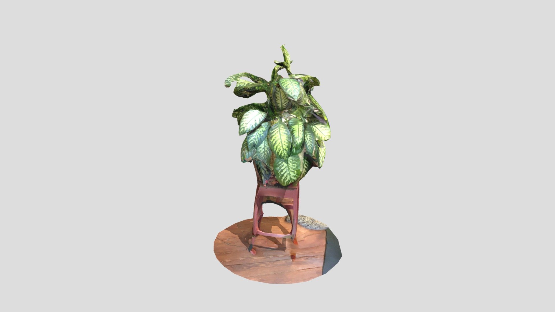 3D-Photogrammetry Pflanze