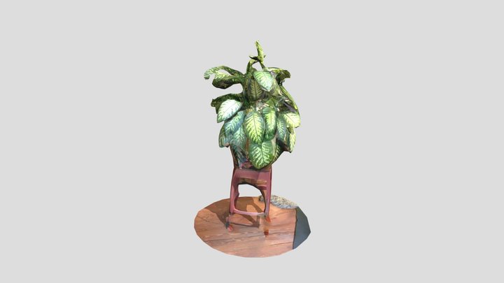 3D-Photogrammetry Pflanze 3D Model