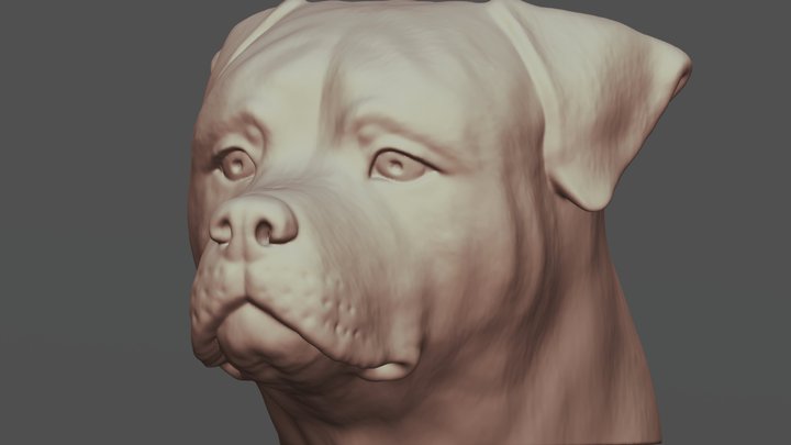 Rottweiler head for 3D printing 3D Model