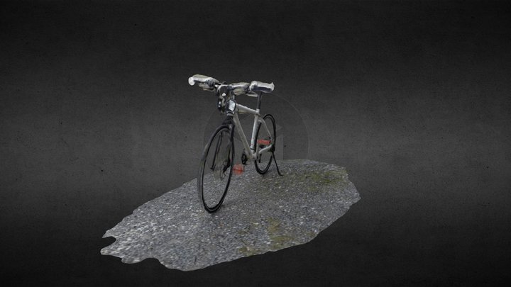 Bike - processed by Pix4Dmapper 3D Model