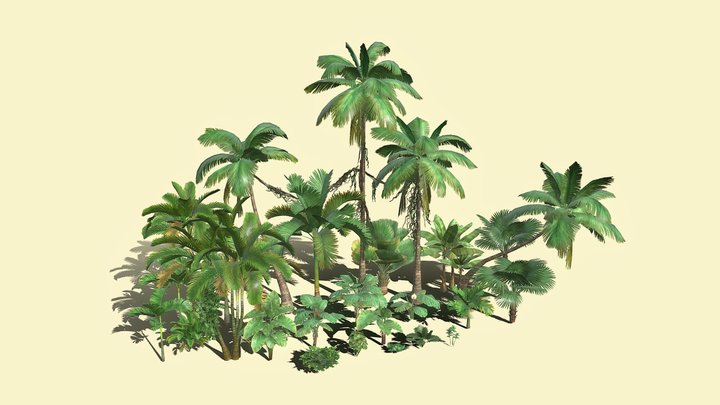Tropical Palm Tree Pack (Optimized) 3D Model