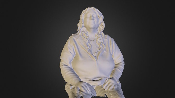 Robin 3D Model