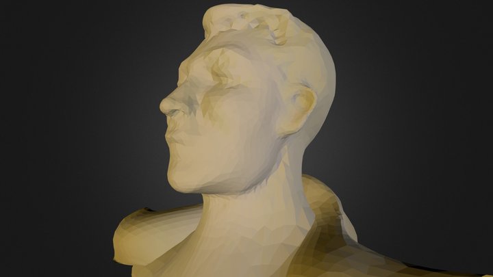 head study 2 3D Model