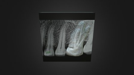VP 3D Model