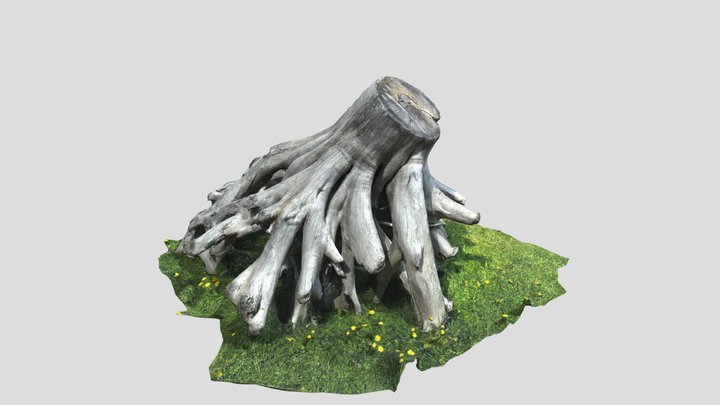 Tronc d’arbre à Saint-Denis-De La Bouteillerie 3D Model