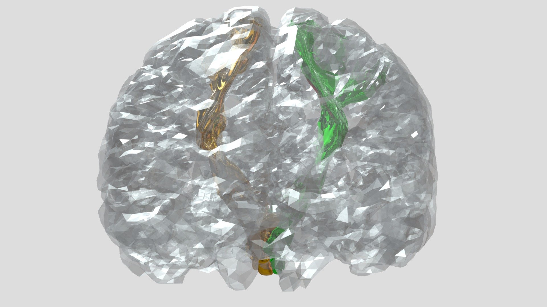 Your Corticospinal Tract — Sketchfab embed 3D viewer