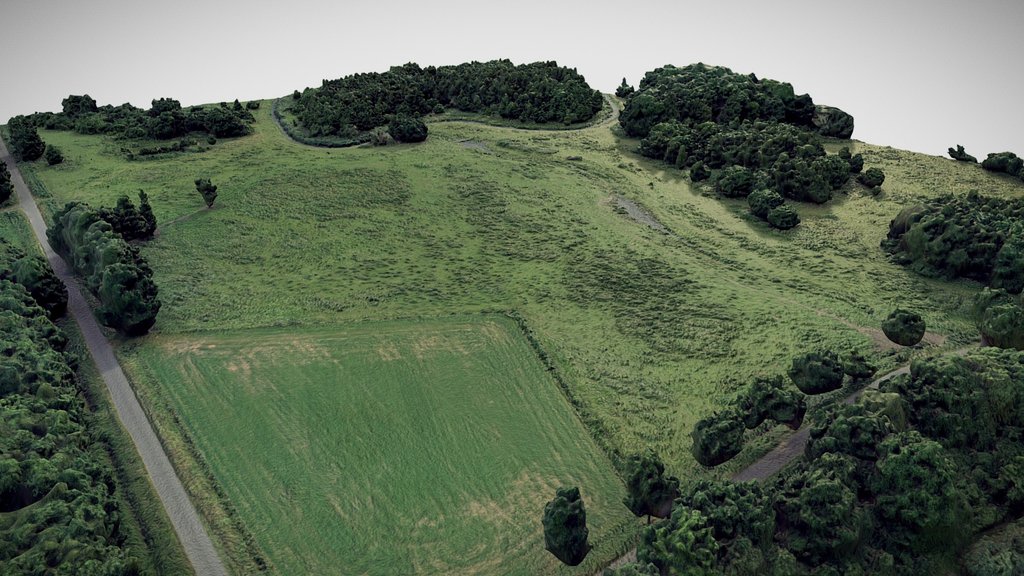 Photogrammetry | 3D scan nature landscape