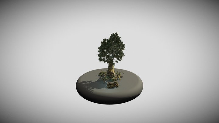 Jungle Boot 3D Model