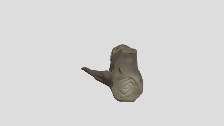 WoodLog 3D Model