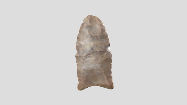 Fluted Point (Brown #26) 3D Model