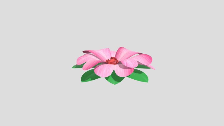 Flor Bayahíbe 3D Model