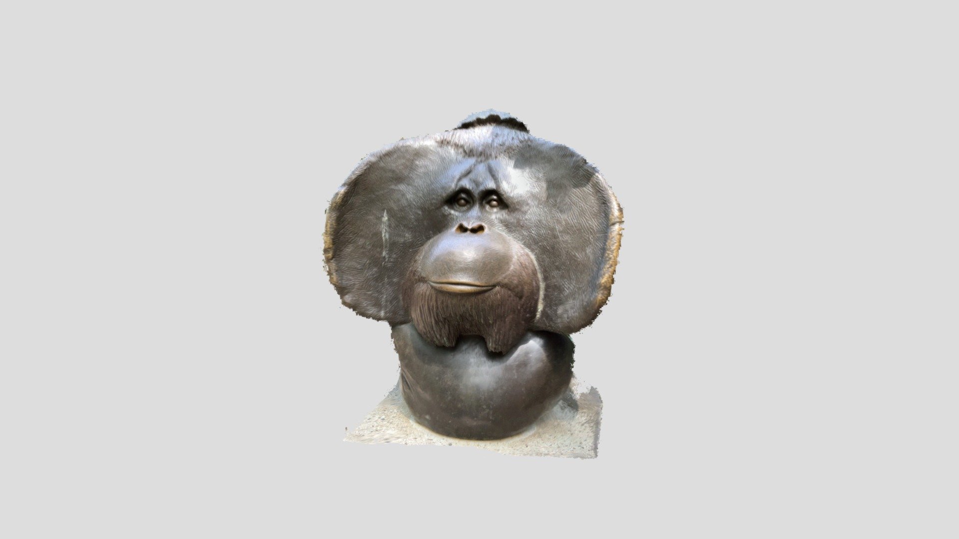 Sacramento Zoo Orangutan Bust