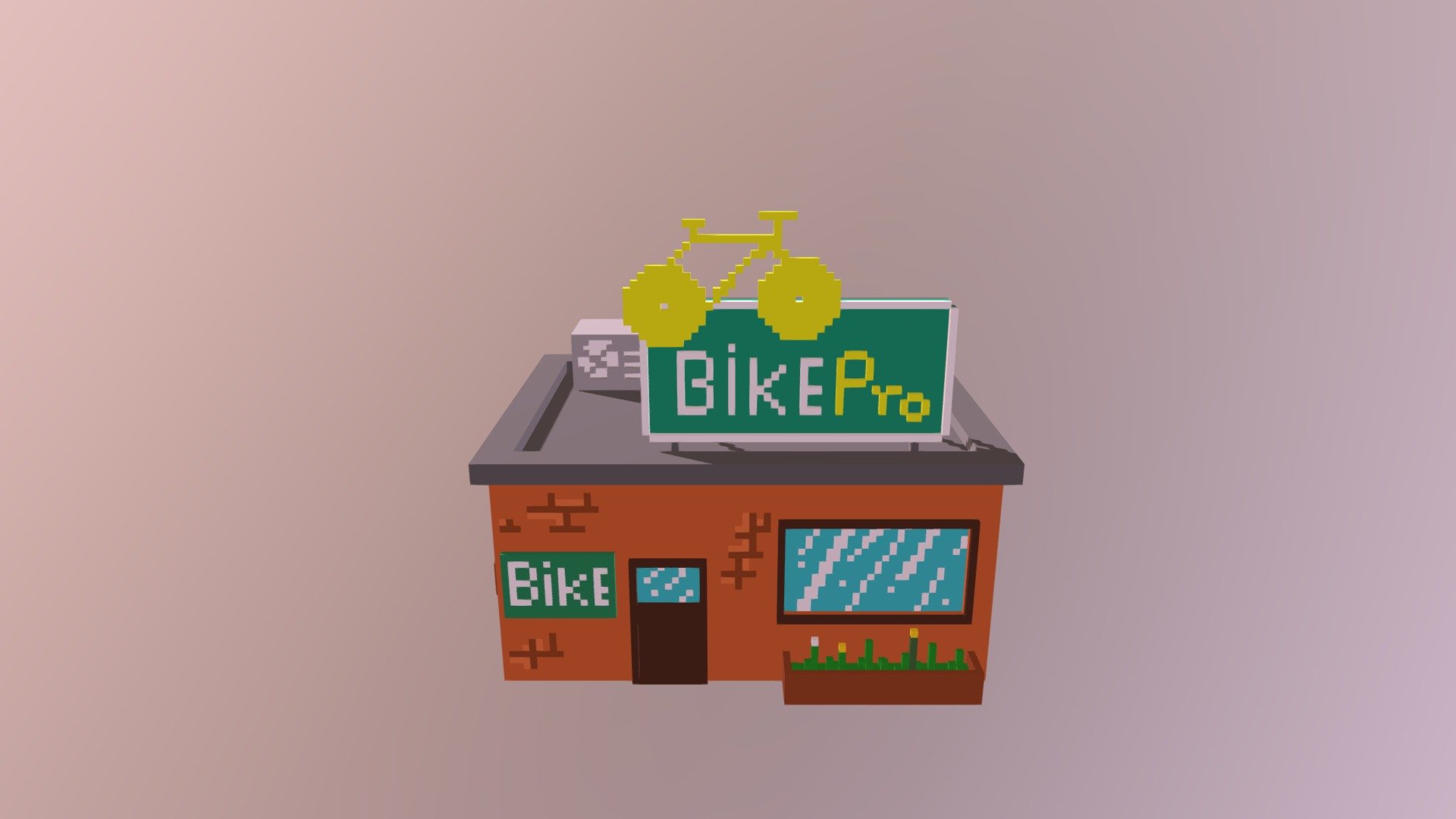 Bike pro