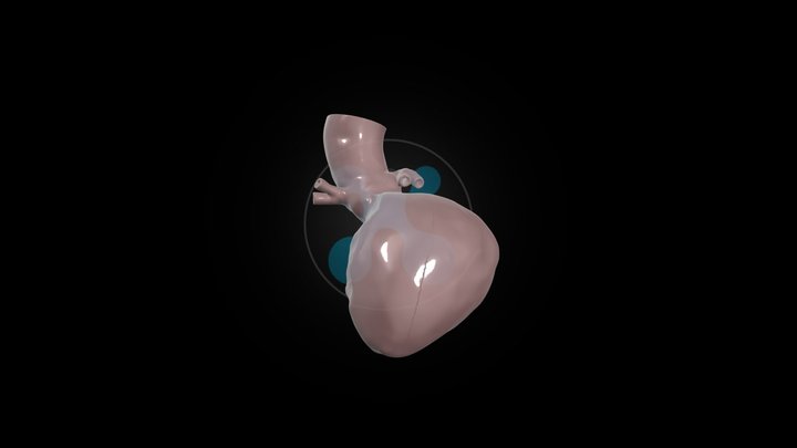 HumanX Medical Case Study #005