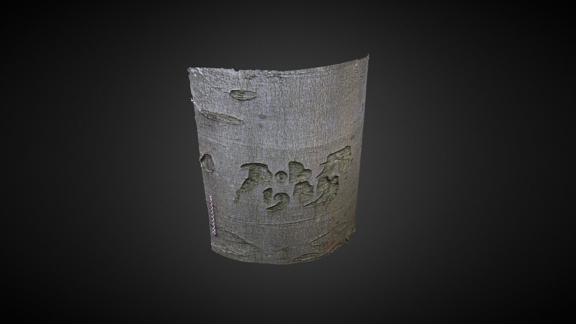 Arbre 14, Lillebonne, Normandie - 3D model by l.quintal-barnola ...