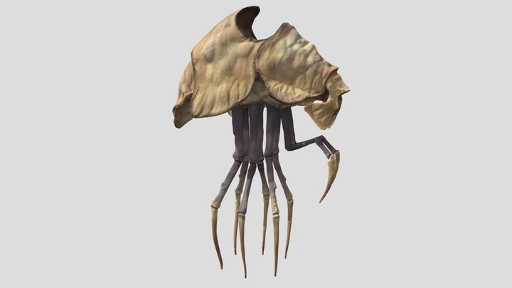 Silt strider dusty 3D Model
