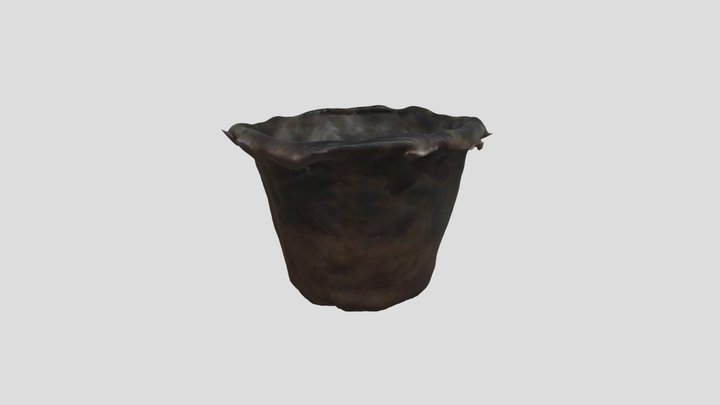 Tejswini Scan 3D Model